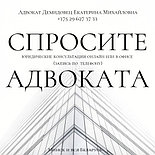 АДВОКАТ по административным делам Демидовец Е.М., фото 4