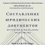 АДВОКАТ по административным делам Демидовец Е.М., фото 2