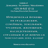 АДВОКАТ по административным делам Демидовец Е.М., фото 6