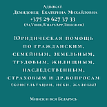 АДВОКАТ, защитник, представитель потерпевшего,юрлиц и ИП по административным делам -  Демидовец Е.М. Опыт 24 г, фото 6