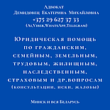 Адвокат Демидовец Е.М. Юрконсультации, претензии, иски, участие в судах по защите прав потребителей.Опыт 24 г., фото 3
