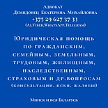 АДВОКАТ Демидовец Е.М.ЮрКонсультации,иски,участие в суде о защите прав потребителей.Опыт более 23лет, фото 3