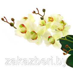 Цветок "Орхидея белая" с корнем 43см, желтые стебельки (Китай)