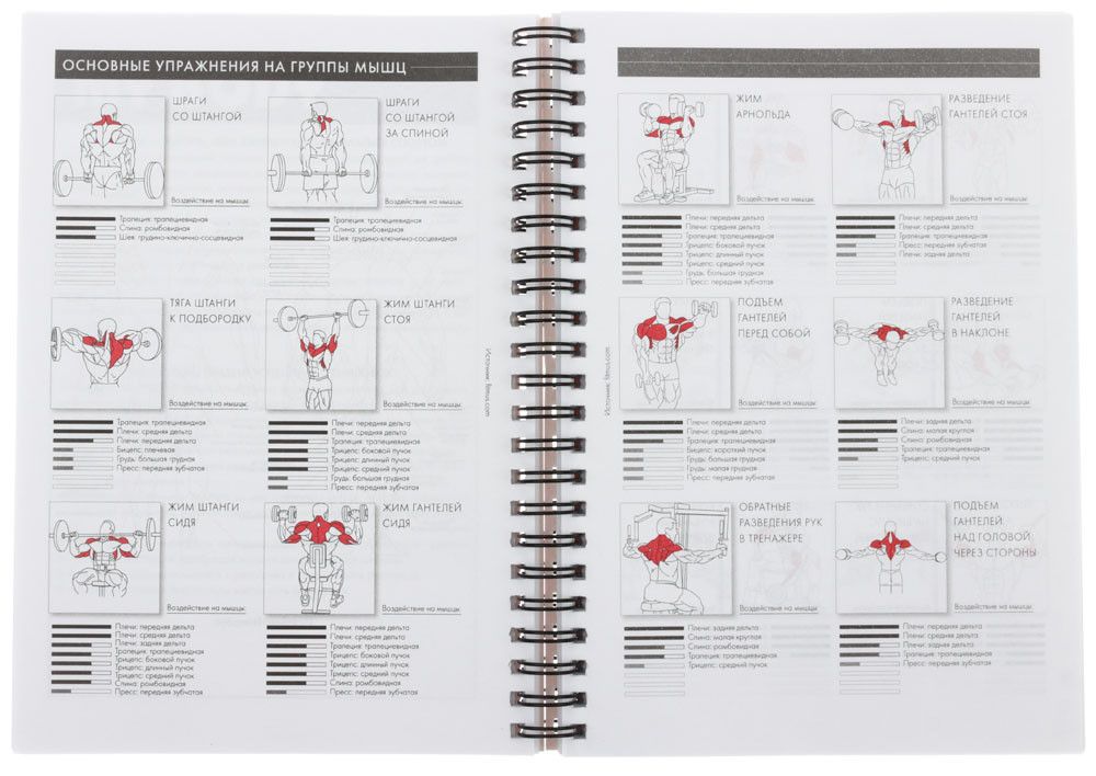 Дневник тренировок Training Diary 140*200 мм, 96 л., №1 - фото 4 - id-p170982339