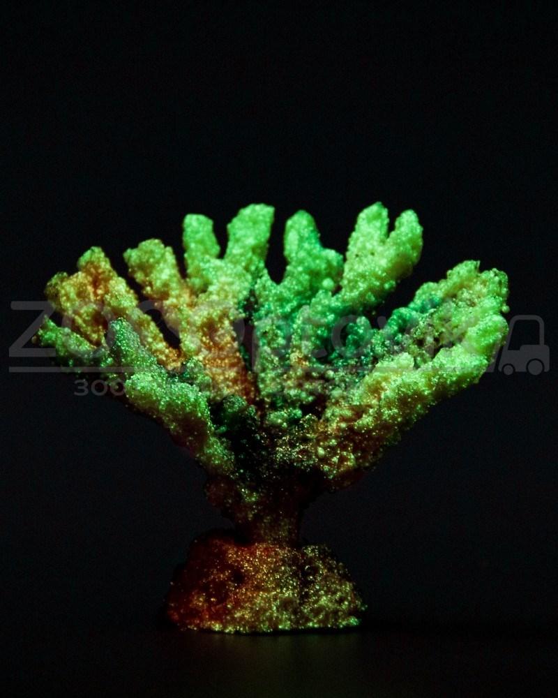 ГротАква Светящийся Коралл акабария фиолетовый Кс-320 - фото 4 - id-p171522810