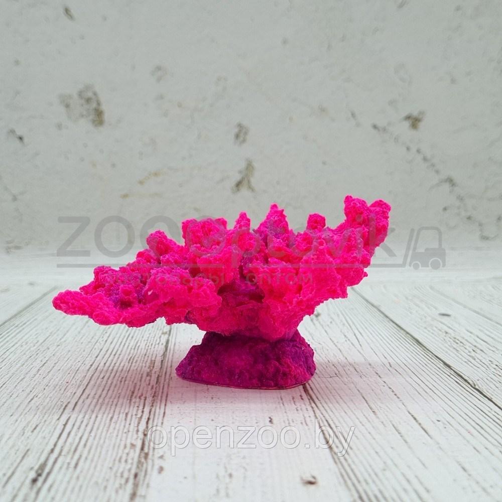 ГротАква Коралл корона розовый акрил Кр-226 - фото 1 - id-p171524078