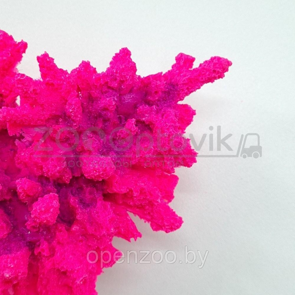 ГротАква Коралл корона розовый акрил Кр-226 - фото 2 - id-p171524078