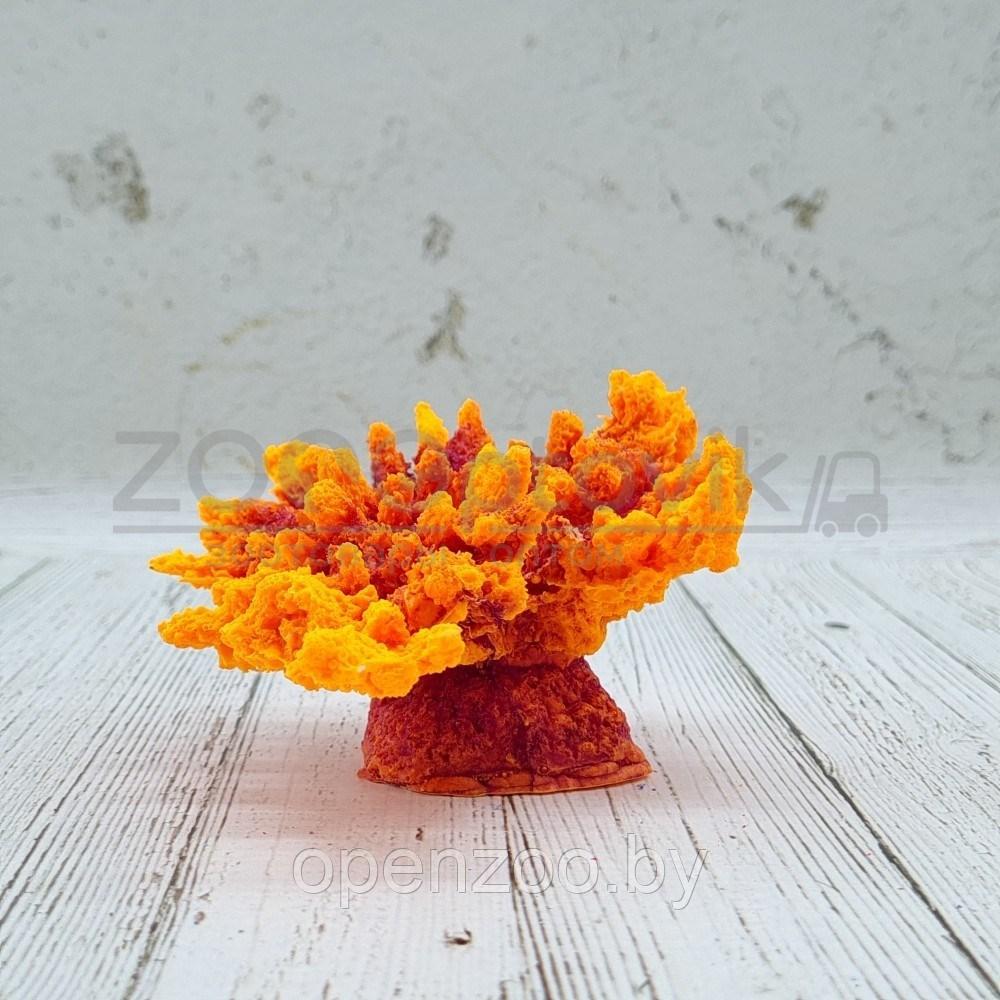 ГротАква Коралл корона оранж акрил Кр-221 - фото 1 - id-p171524080