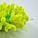 ГротАква Коралл брокколи зеленые Кр-1547, фото 2