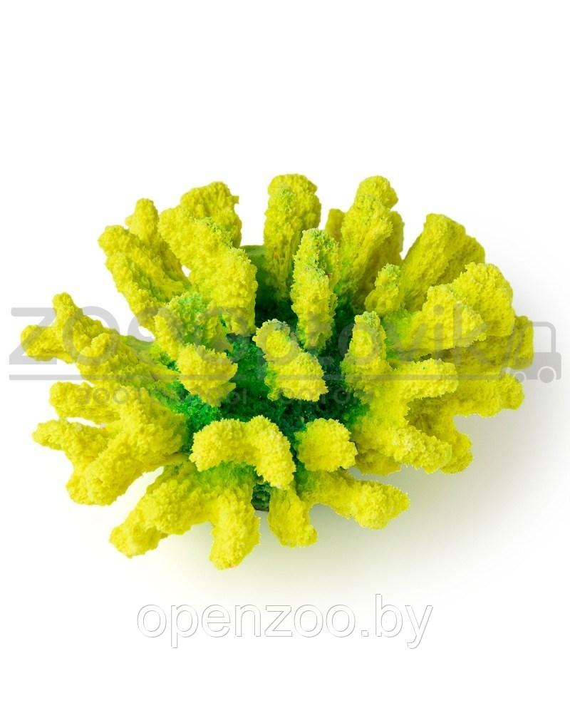 ГротАква Коралл брокколи зеленые Кр-1547 - фото 4 - id-p171524081