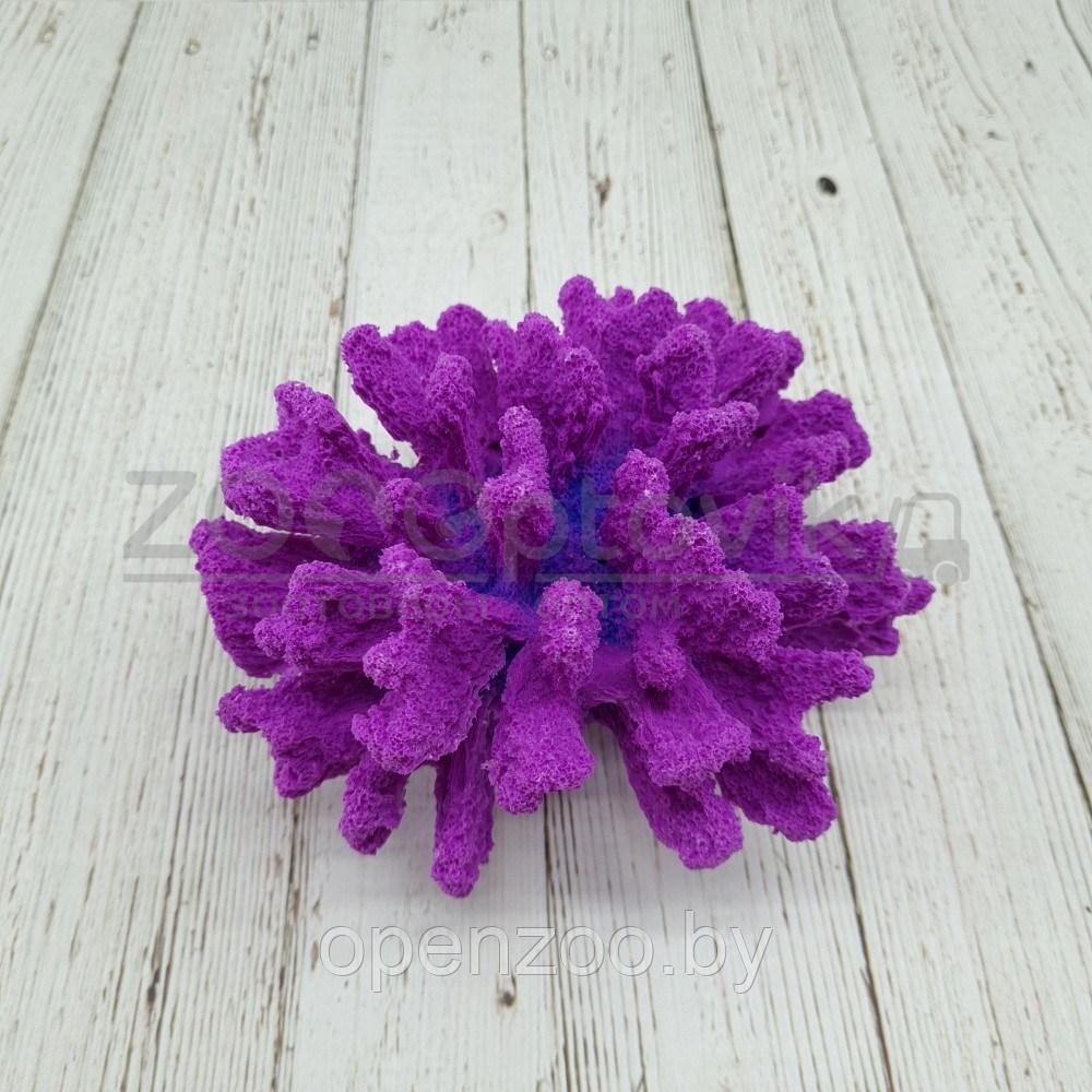 ГротАква Коралл брокколи фиолетовый Кр-1532 - фото 2 - id-p171524082