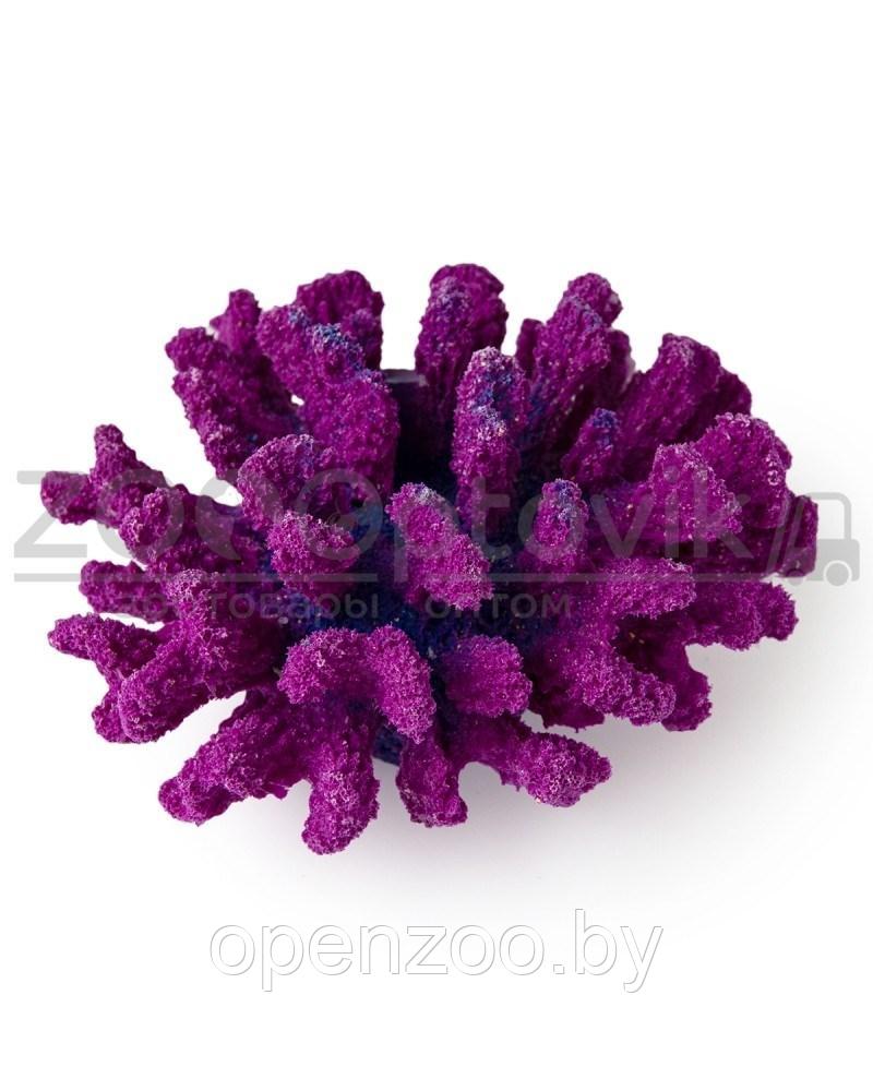 ГротАква Коралл брокколи фиолетовый Кр-1532 - фото 4 - id-p171524082