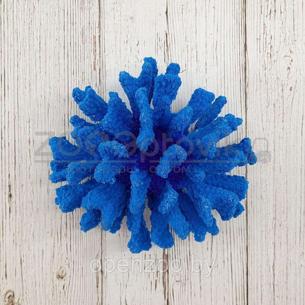 ГротАква Коралл брокколи синий Кр-1523 - фото 4 - id-p171524084