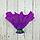 ГротАква Коралл веер фиолетовый Кр-1432, фото 4