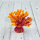 ГротАква Коралл акабария оранжевый акрил КР-321, фото 3