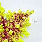ГротАква Коралл корона желтый акрил Кр-227, фото 2