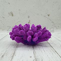 ГротАква Коралл брокколи фиолетовый Кр-1532