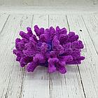 ГротАква Коралл брокколи фиолетовый Кр-1532, фото 3