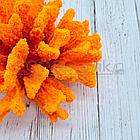 ГротАква Коралл брокколи оранжевый Кр-1521, фото 3