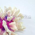 ГротАква Коралл брокколи белый Кр-1520, фото 2