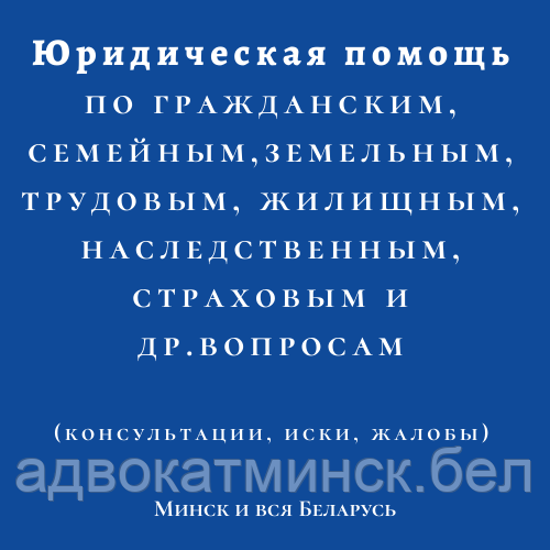 Налоговый А Д В О К А Т, Ю Р И С Т в Минске в Беларуси Демидовец А.В. - фото 3 - id-p42953257