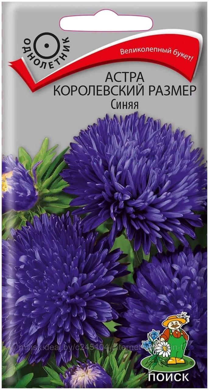 Астра королевский размер Синяя (0,1 г)