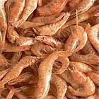 Tetra TETRA ReptoDelica Shrimps 250ml/20g деликатес из креветок, фото 2