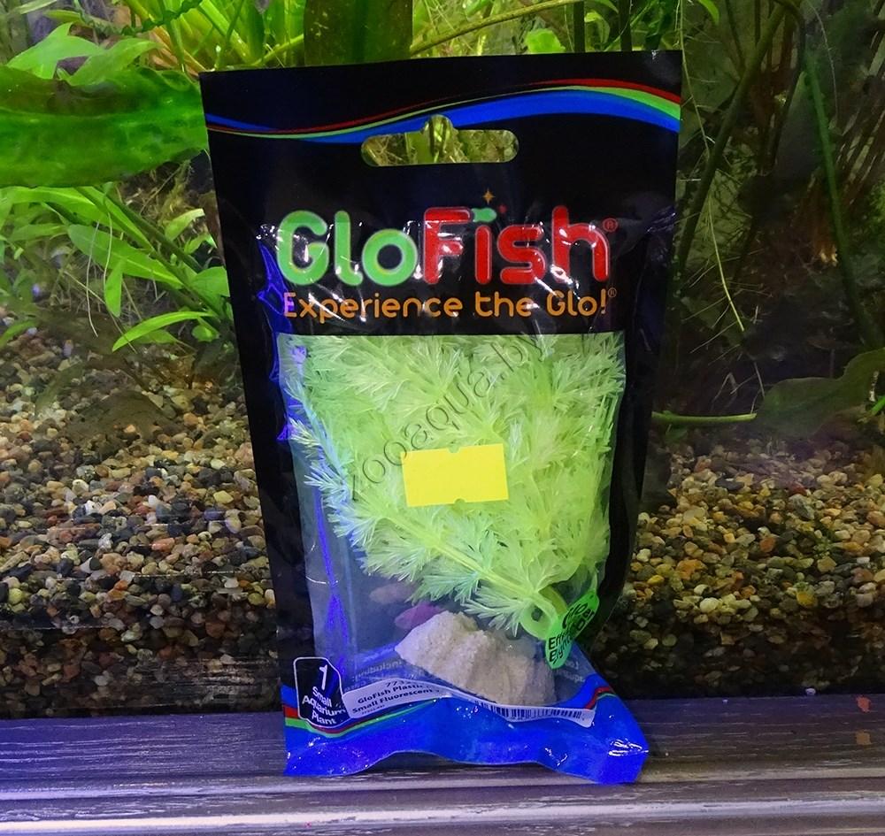 GLOFISH Растение пластиковое GLOFISH флуоресцентное желтое 15,24 см. - фото 2 - id-p153794621