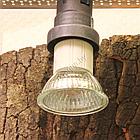 JBL JBL ReptilDay Halogen - Галогеновая лампа для террариума, 50 ватт, фото 2