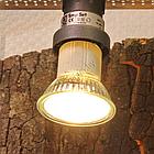 JBL JBL ReptilDay Halogen - Галогеновая лампа для террариума, 50 ватт, фото 4