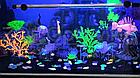 Meijing Aquarium AM0015G Светящийся коралл, зеленый 16,516,5см., фото 2