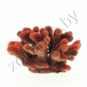 Vitality Коралл пластиковый (мягкий) красный 24x21x13,5см - фото 1 - id-p153794196