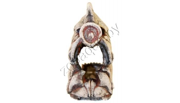 Deksi Скелет рыбы №902 - фото 3 - id-p121584814