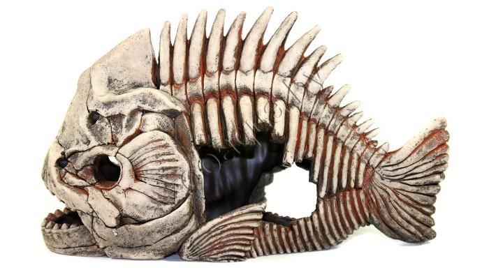 Deksi Скелет рыбы №903 - фото 5 - id-p121584815