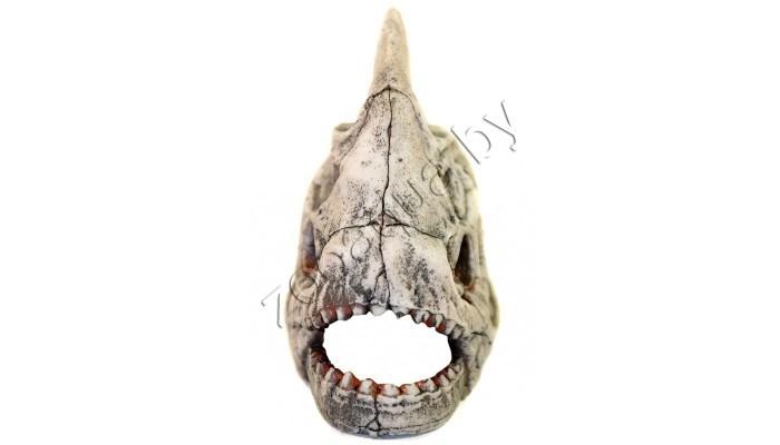 Deksi Скелет рыбы №903 - фото 6 - id-p121584815