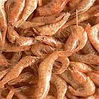 Tetra TETRA ReptoDelica Shrimps 1000ml/100g деликатес из креветок, фото 2
