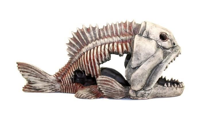 Deksi Скелет рыбы №904 - фото 2 - id-p121584816