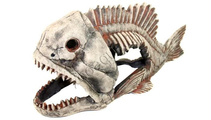 Deksi Скелет рыбы №904 - фото 5 - id-p121584816
