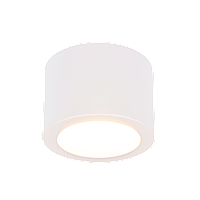 Накладной потолочный светодиодный светильник 
DLR026 6W 4200K белый матовый