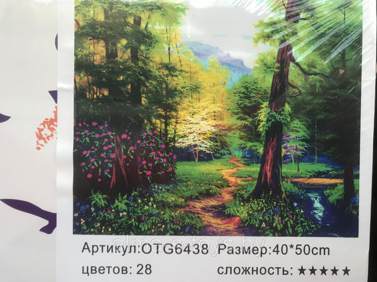 Рисование по номерам 50*40 тропинка в лесу