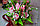 Букет из мыла махровые тюльпаны  - глицериновое мыло ручной работы, фото 3