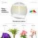 Настольный светильник для растений ЭРА FITO-20W-QLED-W полного спектра 20 Вт белый, фото 3