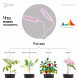 Светильник для растений на прищепке ЭРА FITO-20W-АLED-L полного спектра 12 Вт белый, фото 2