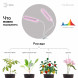 Светильник для растений на прищепке ЭРА FITO-20W-АLED-L полного спектра 12 Вт белый - фото 2 - id-p171938300