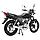 Мотоцикл Regulmoto SK 150-6 - Красный, фото 5