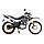 Мотоцикл Regulmoto SK 250GY-5 - Чёрный, фото 4