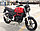 Мотоцикл Минск C4 300 Медный + Моторамка номерн. знака + Бонус, фото 7