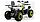 Квадроцикл Motoland 200 WILD TRACK LUX (2020 г.) без ПТС Черный, фото 6