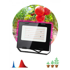 Фитопрожектор для растений светодиодный ЭРА FITO-50W-RB-LED для цветения и плодоношения красно-синего спектра