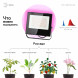 Фитопрожектор для растений светодиодный ЭРА FITO-100W-RB-LED для цветения и плодоношения красно-синего спектра - фото 2 - id-p171986133